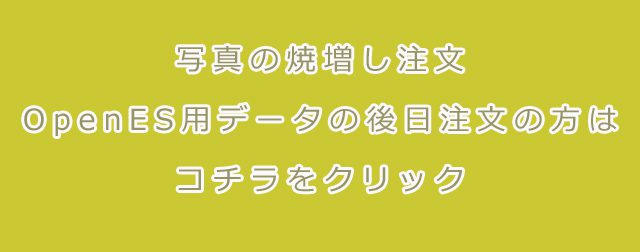 写真の焼増し注文、OpenESデータの後日注文の画像